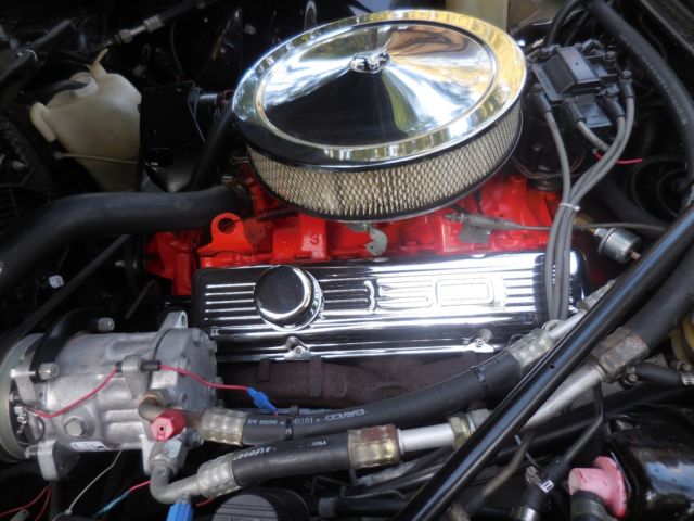 1982 Jaguar XJS HE - photo 4