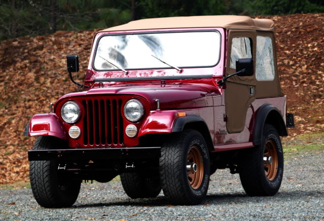 1982 Jeep CJ RENEGADE - photo 9