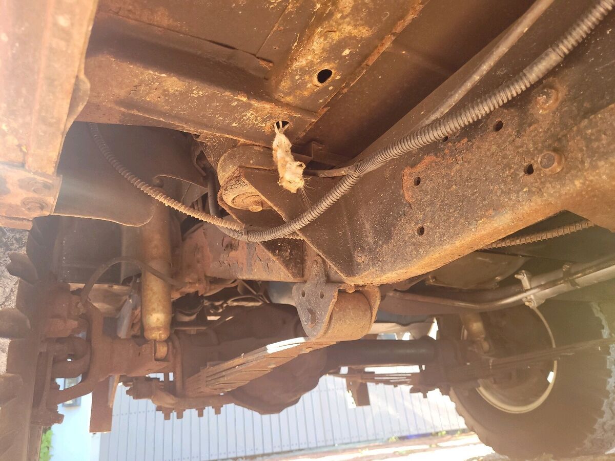 1982 Jeep Jeep Truck J10 - photo 12