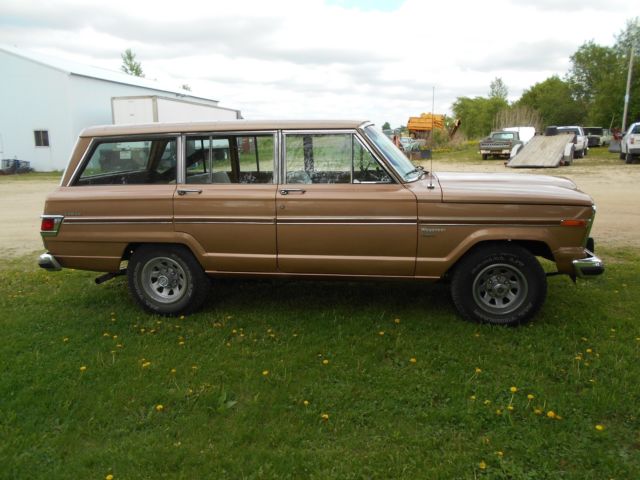 1982 Jeep Wagoneer Brougham - photo 3