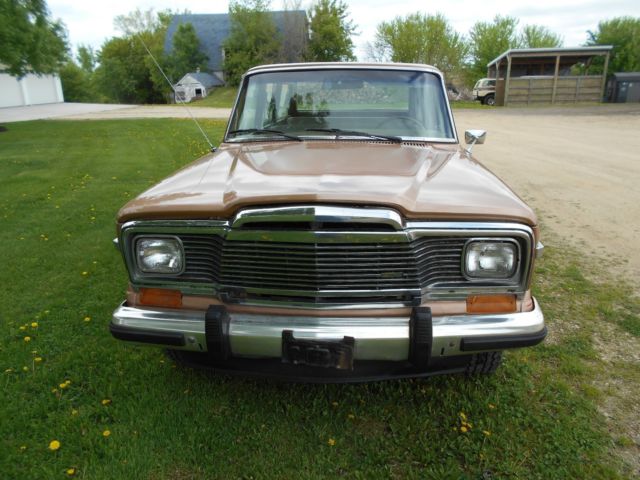 1982 Jeep Wagoneer Brougham - photo 4
