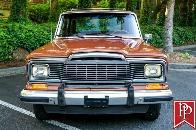 1982 Jeep Wagoneer Brougham Edition - photo 3