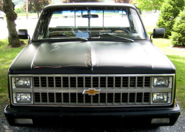 1982 Chevrolet C-10 - photo 6