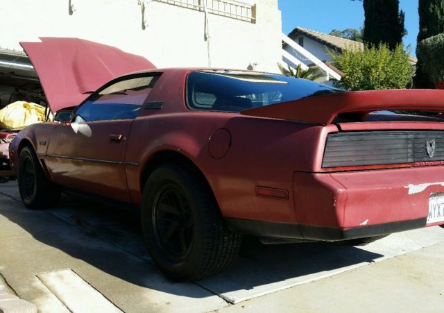 1982 Pontiac Trans Am MSE Motor Sports Edition - photo 2
