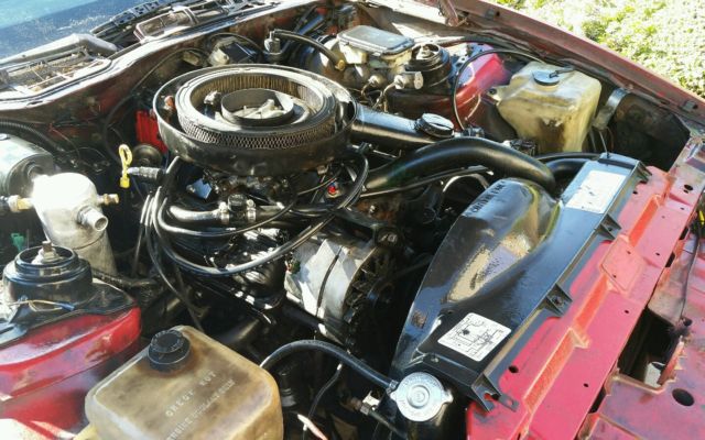 1982 Pontiac Trans Am MSE Motor Sports Edition - photo 4