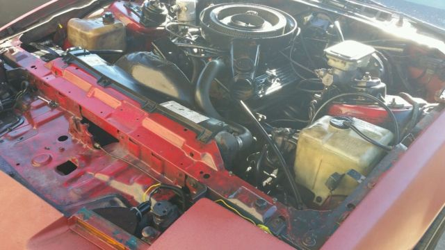 1982 Pontiac Trans Am MSE Motor Sports Edition - photo 5