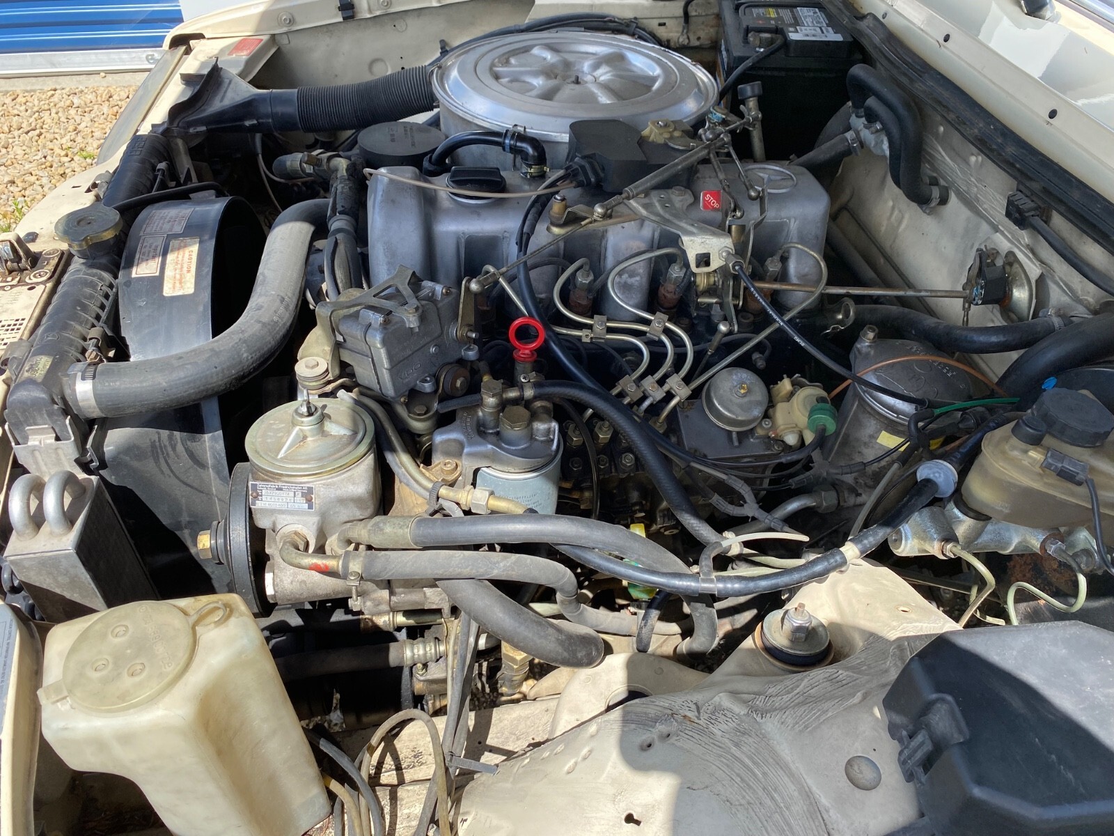 1982 Mercedes-Benz 200-Series W123 240 Diesel Sedan - photo 12
