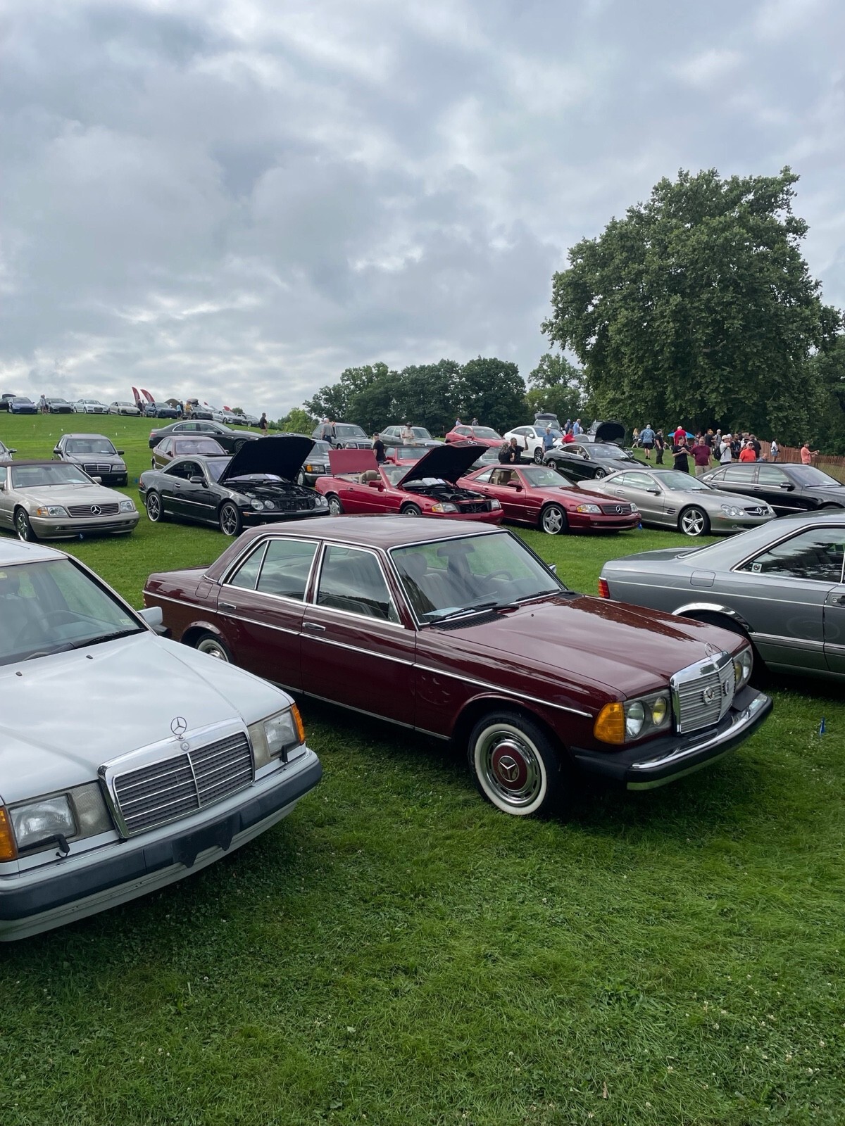 1982 Mercedes-Benz 240 D - photo 7
