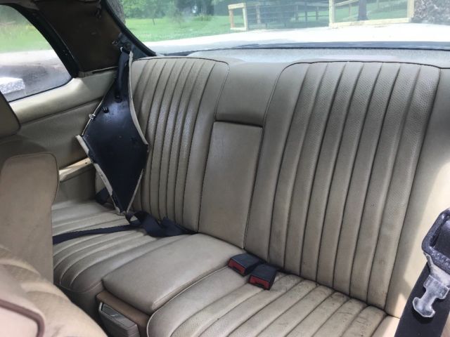 1982 Mercedes-Benz 300-Series CD Turbo Deisel - photo 9