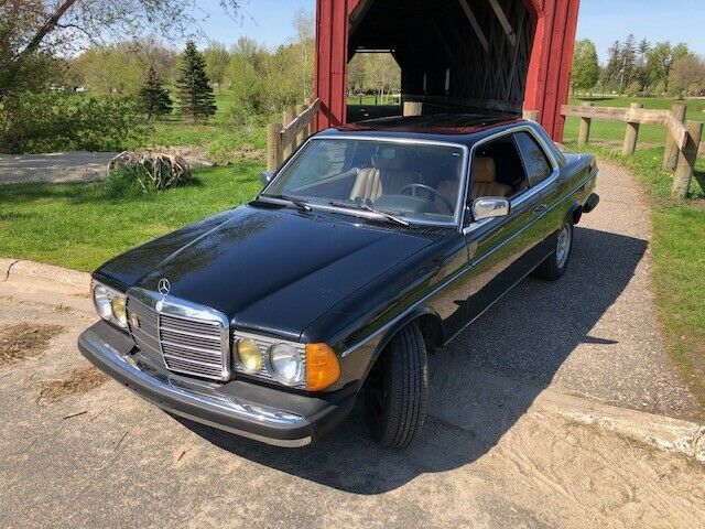 1982 Mercedes-Benz 300-Series - photo 6