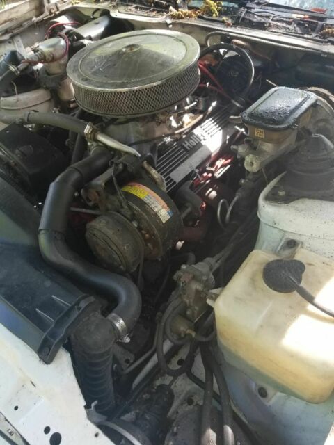 1982 mse edition trans am 1982 Pontiac Trans Am
