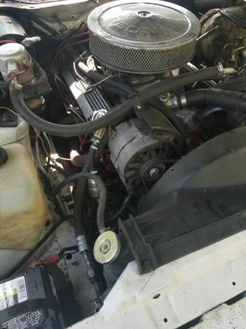 1982 Pontiac Trans Am - photo 2