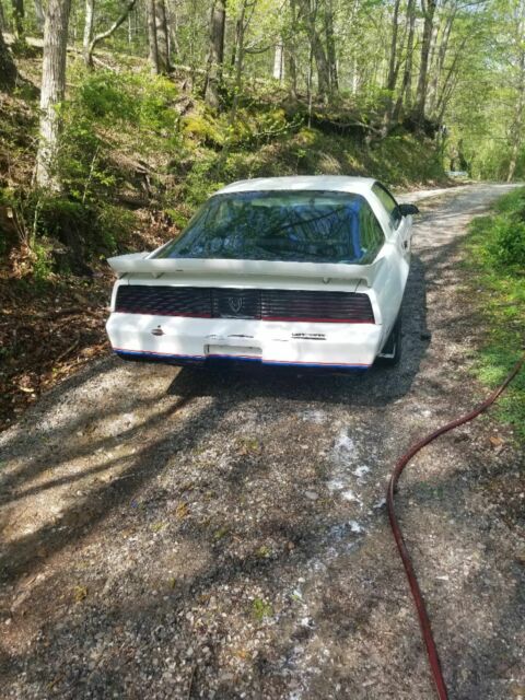 1982 Pontiac Trans Am - photo 8