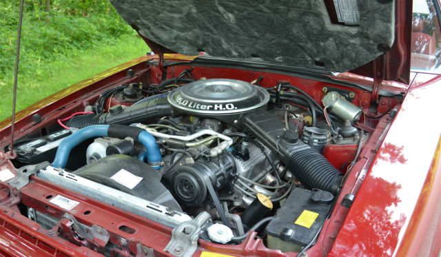1982 Ford Mustang GT - photo 2