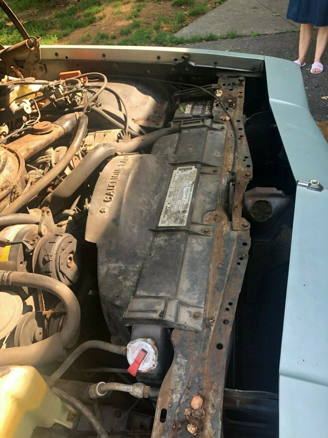 1982 Oldsmobile Eighty-Eight - photo 5