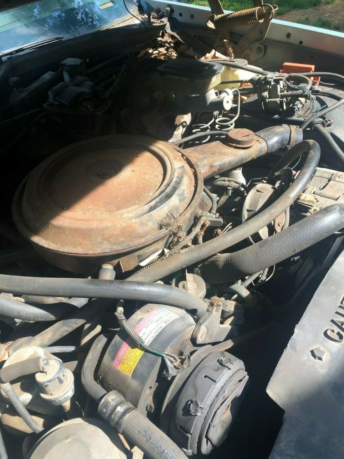 1982 Oldsmobile Eighty-Eight - photo 6