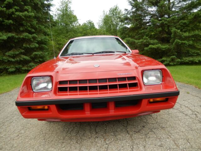 1982 Plymouth Horizon TC3 Miser - photo 9