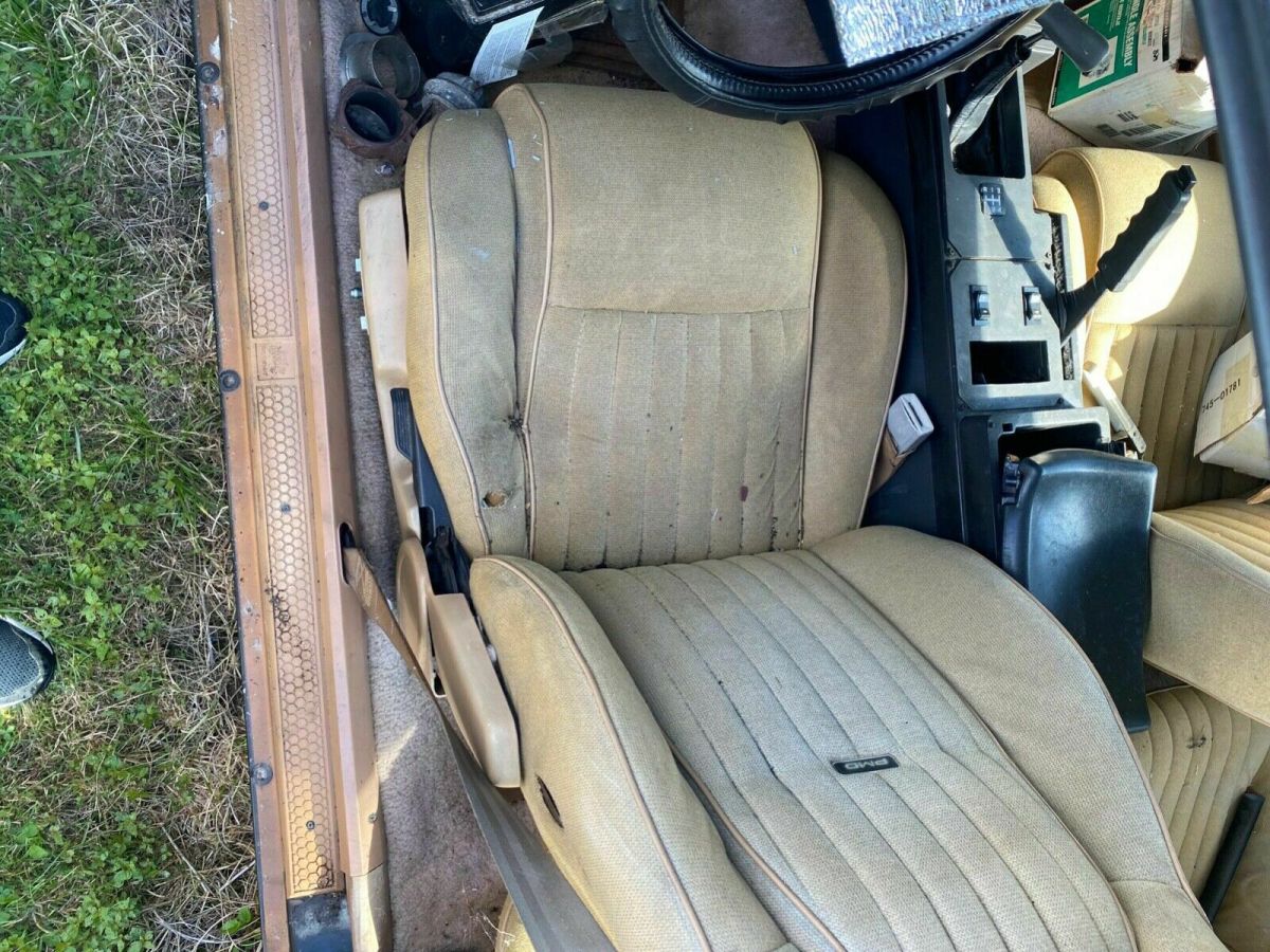 1982 Pontiac Firebird TRANS AM - photo 10