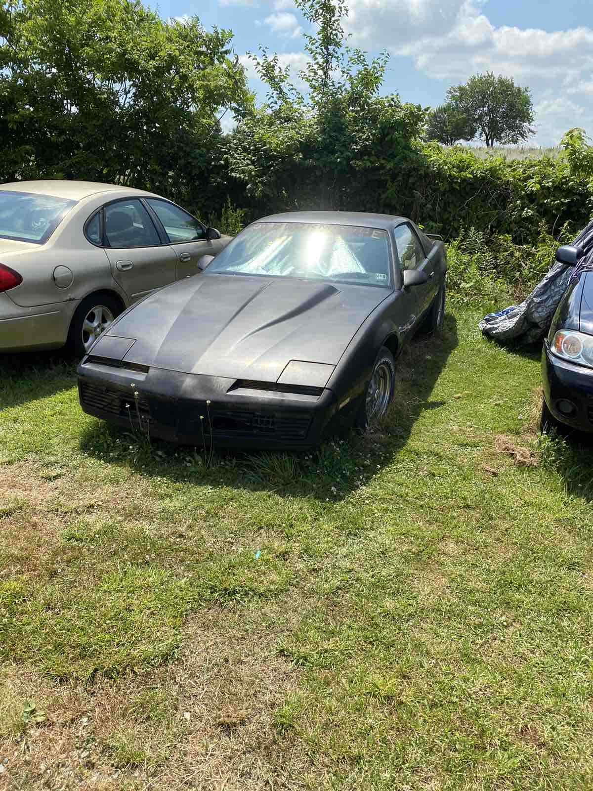 1982 Pontiac Firebird TRANS AM - photo 2