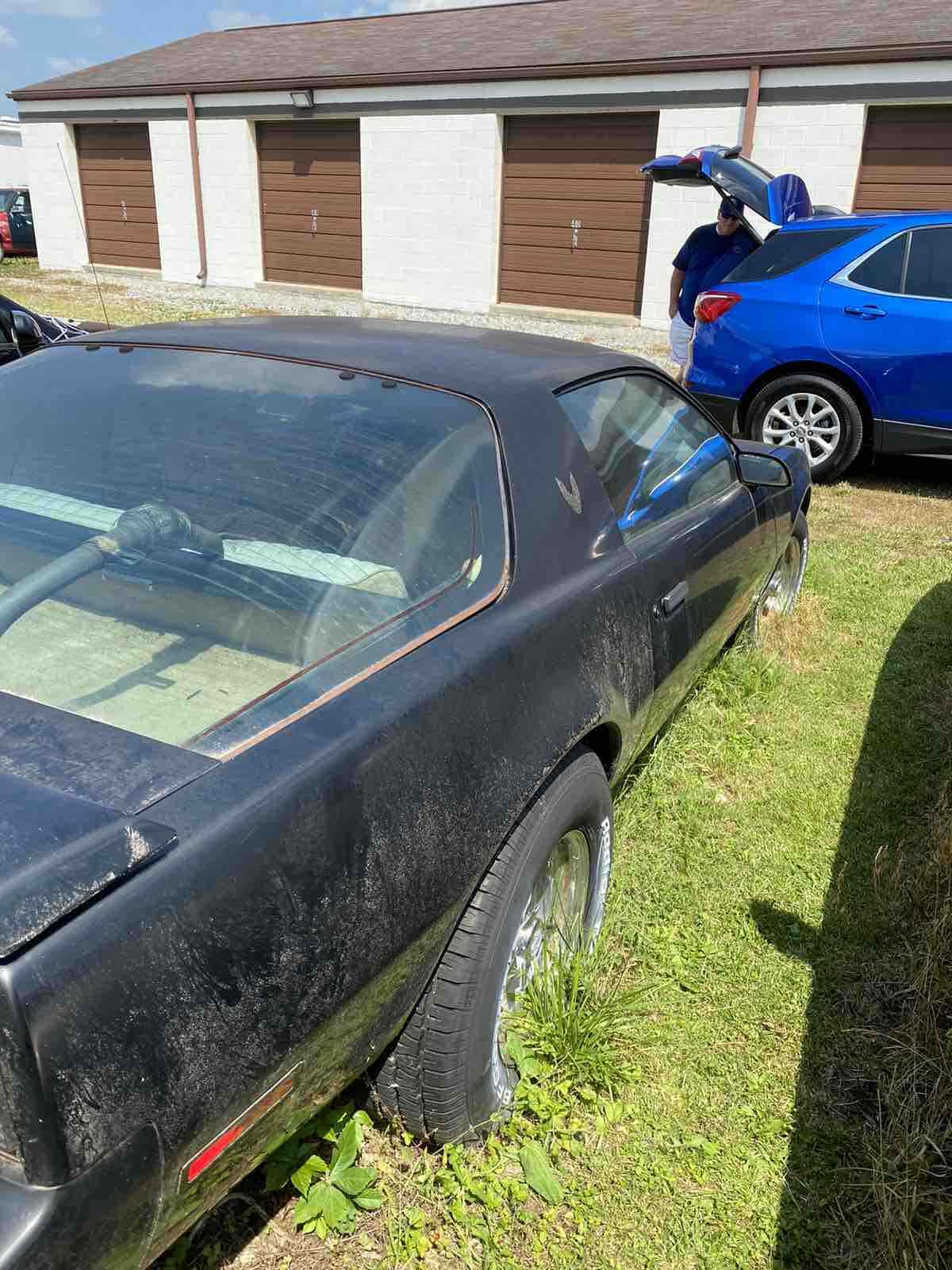 1982 Pontiac Firebird TRANS AM - photo 3