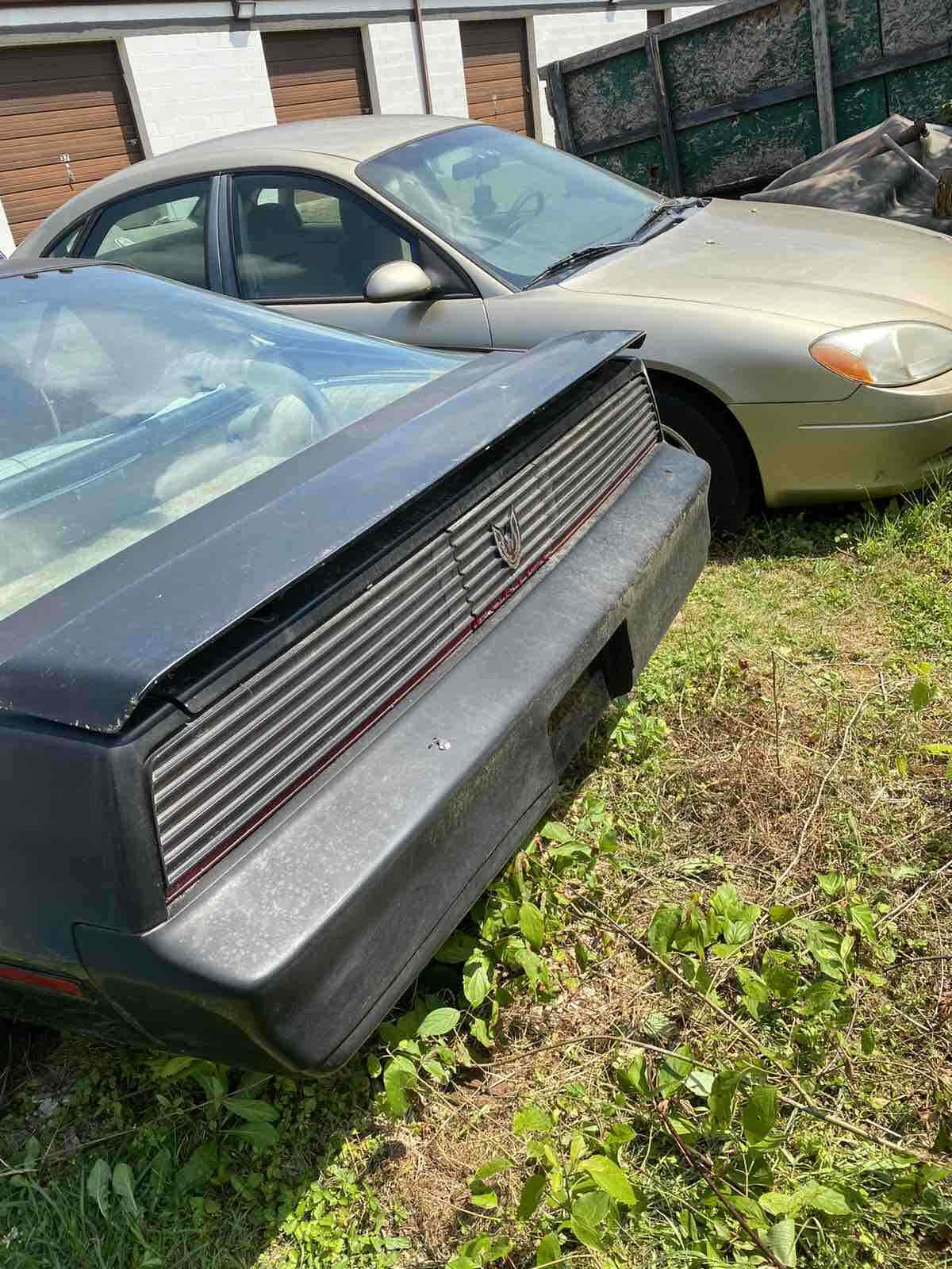 1982 Pontiac Firebird TRANS AM - photo 4