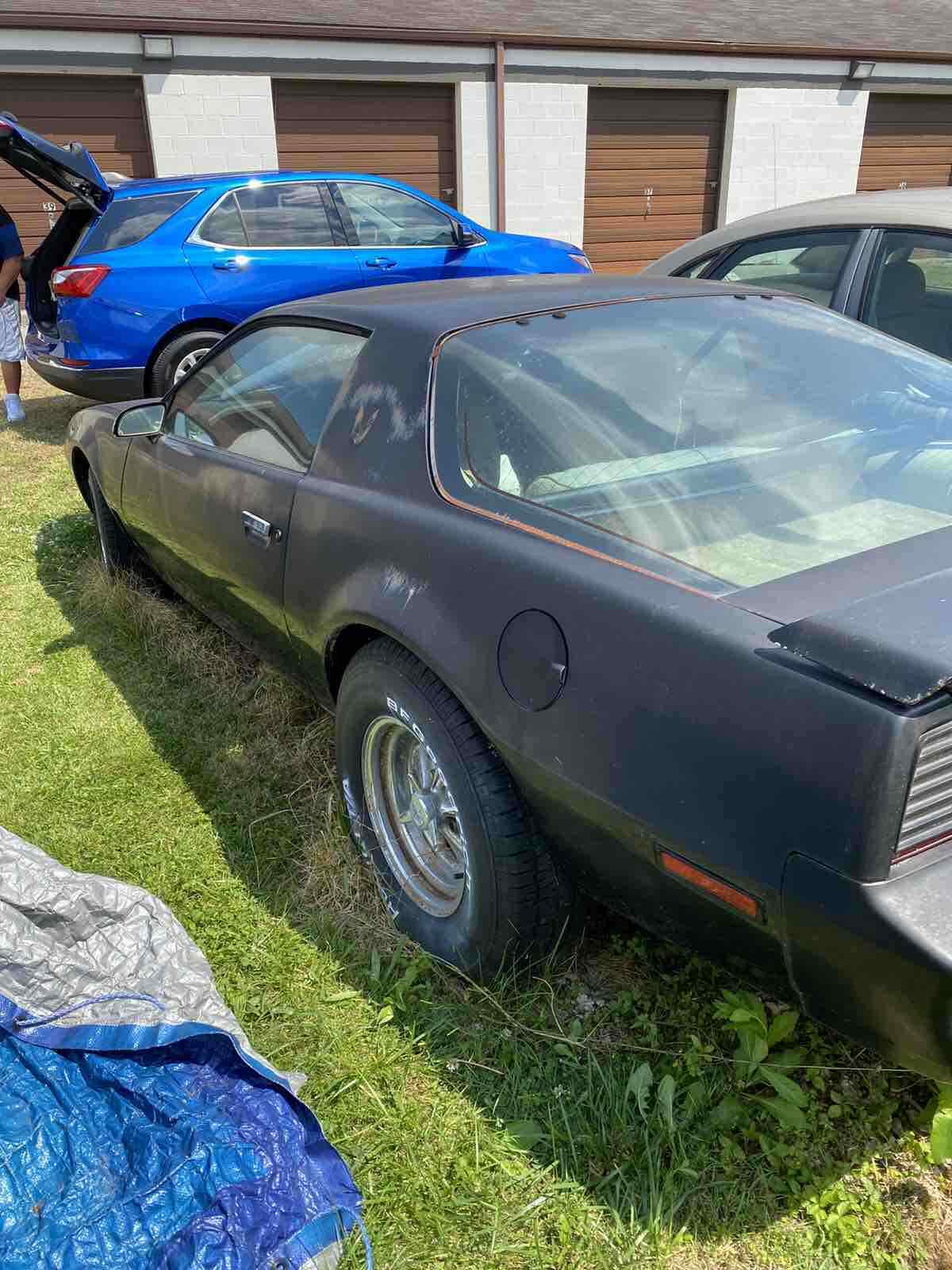 1982 Pontiac Firebird TRANS AM - photo 5