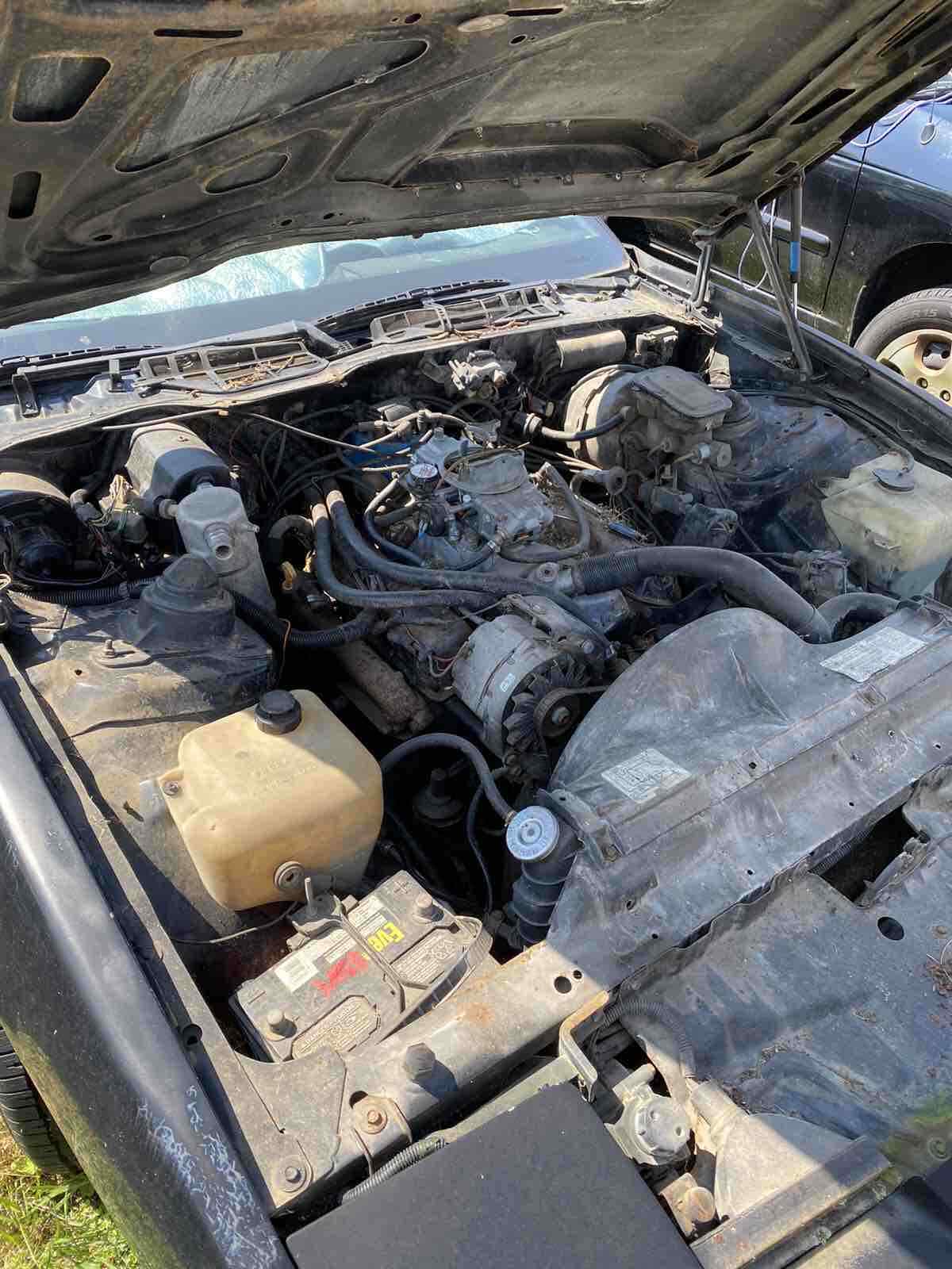 1982 Pontiac Firebird TRANS AM - photo 9