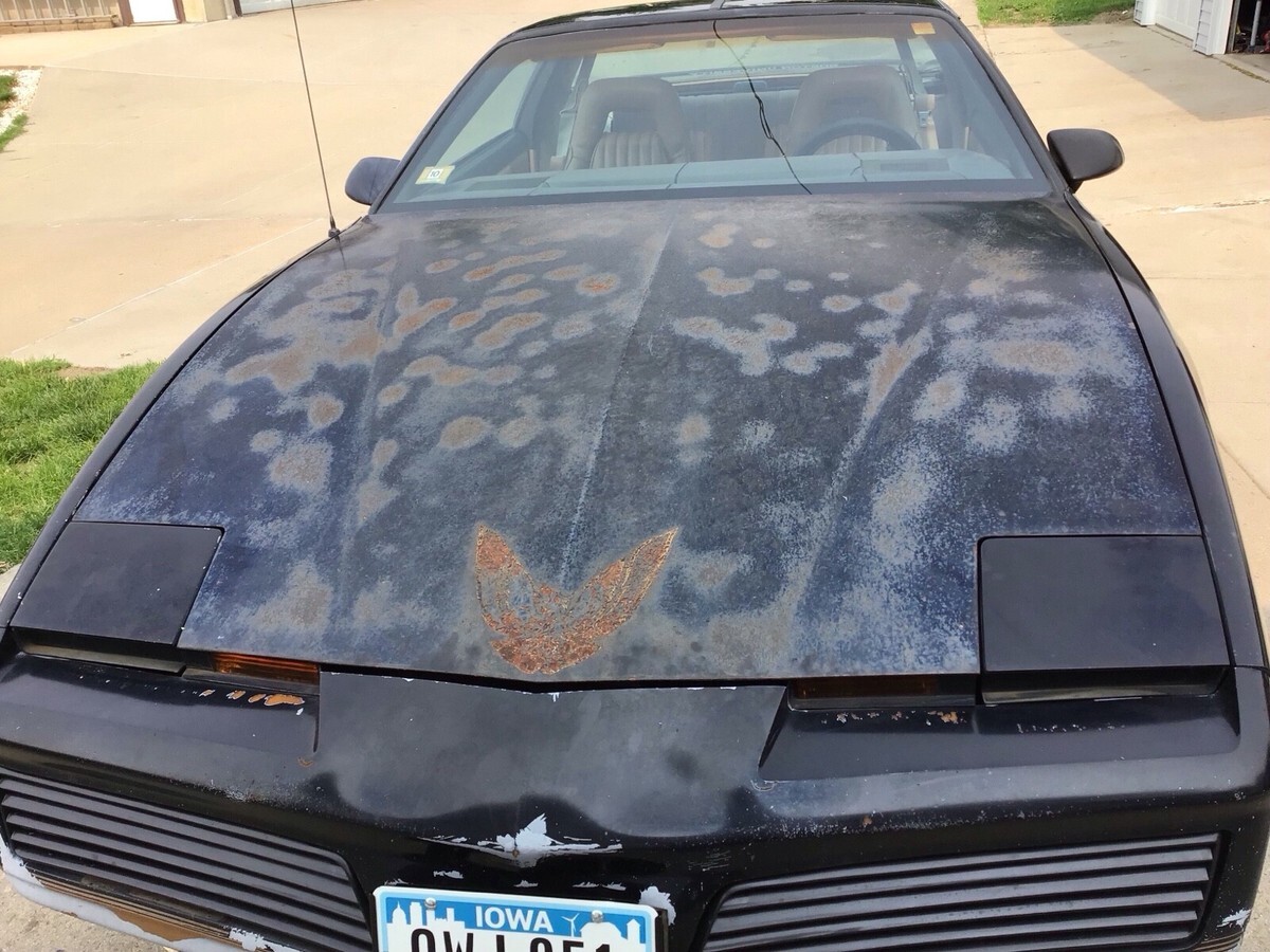 1982 Pontiac Firebird TRANS AM - photo 10