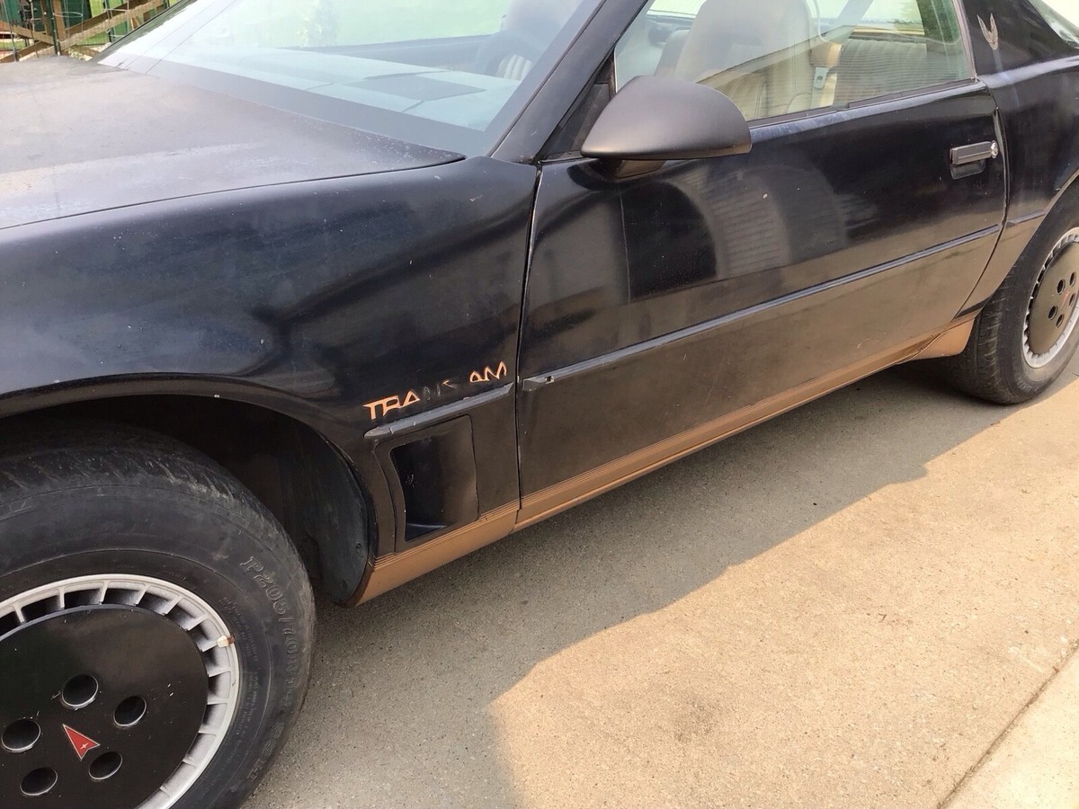 1982 Pontiac Firebird TRANS AM - photo 12