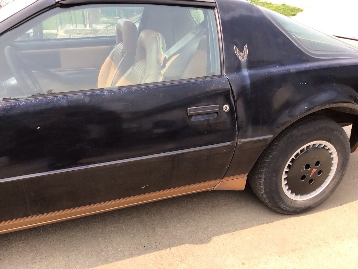 1982 Pontiac Firebird TRANS AM - photo 13