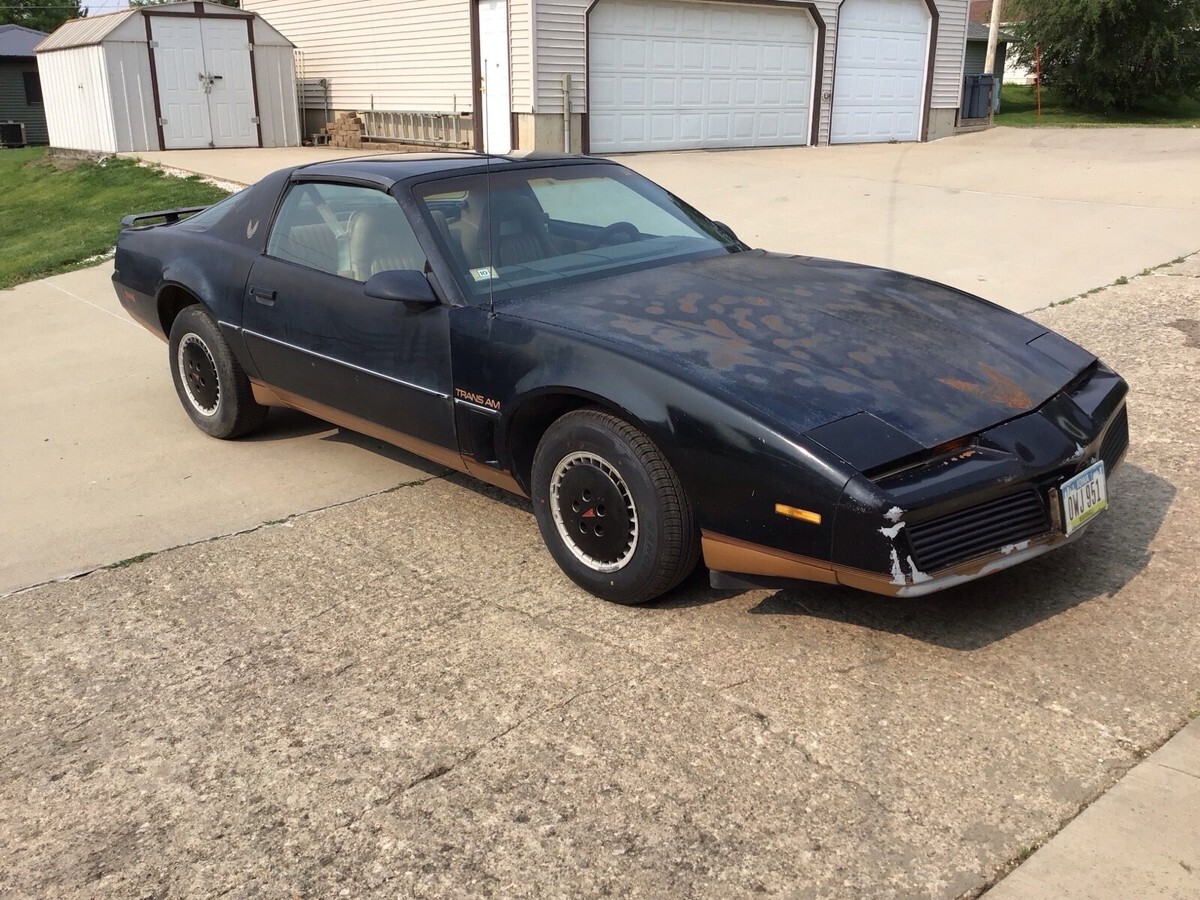 1982 Pontiac Firebird TRANS AM - photo 3
