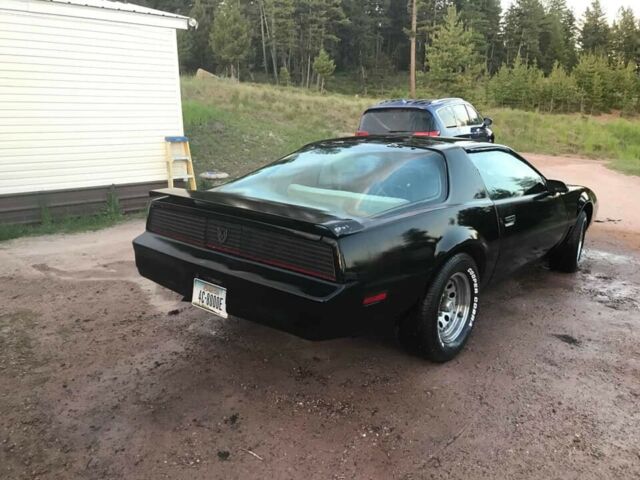 1982 Pontiac Firebird Firebird - photo 8