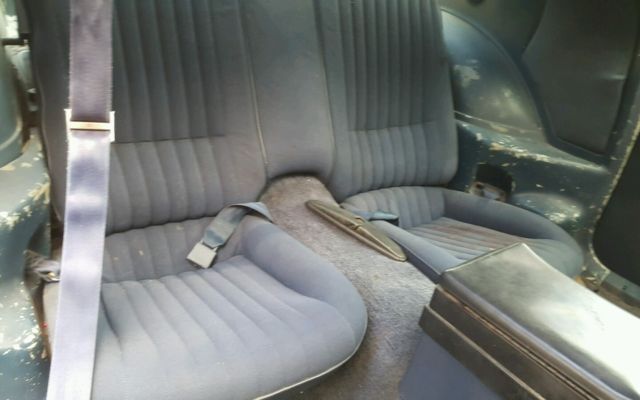 1982 Pontiac Firebird - photo 12