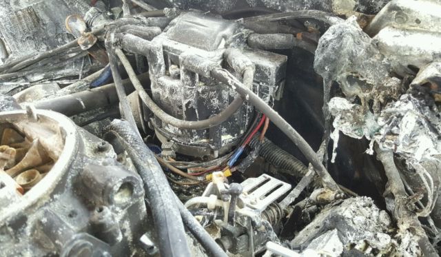 1982 Pontiac Firebird - photo 7