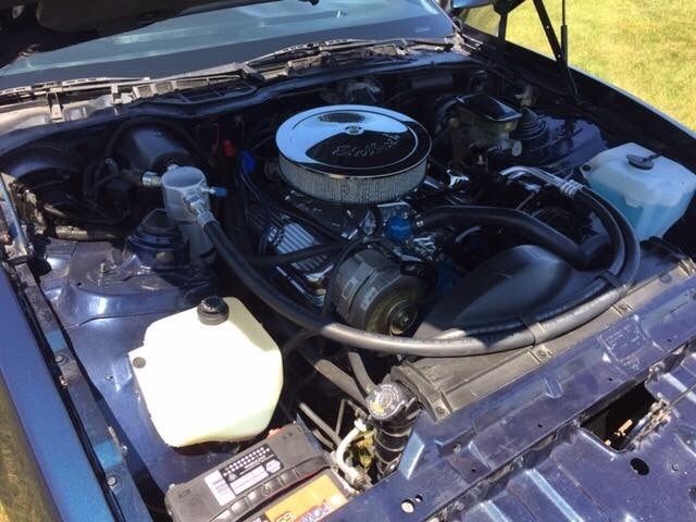 1982 Pontiac Firebird Third Generation / 3rd Gen F Body - photo 9