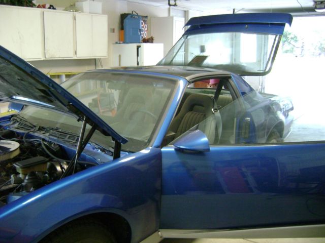 1982 Pontiac Firebird S/E Coupe 2-Door - photo 4