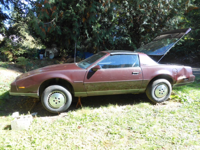 1982 Pontiac Firebird