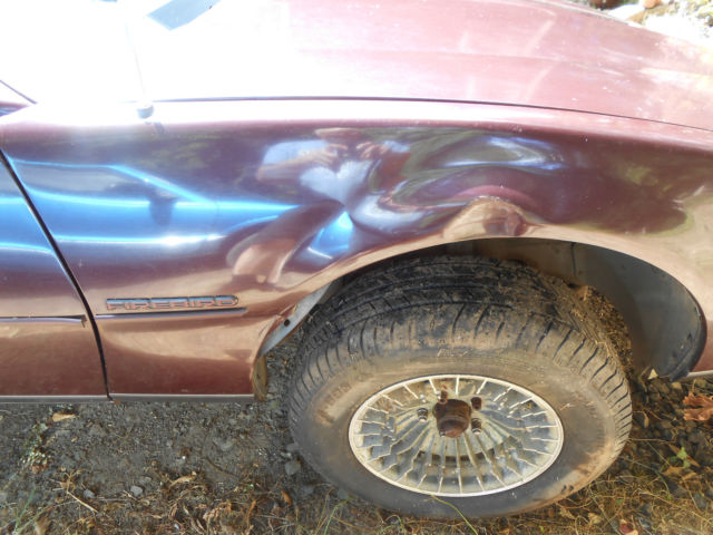 1982 Pontiac Firebird - photo 10