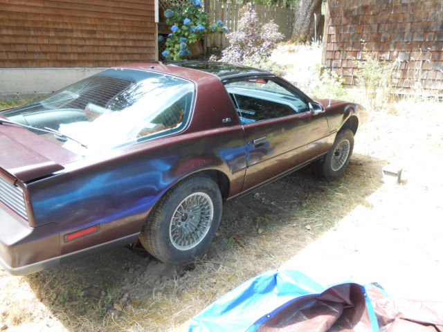 1982 Pontiac Firebird - photo 11