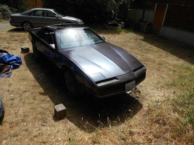 1982 Pontiac Firebird - photo 4