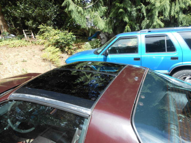 1982 Pontiac Firebird - photo 5