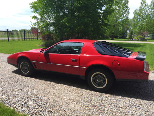 1982 Pontiac Trans Am - photo 2