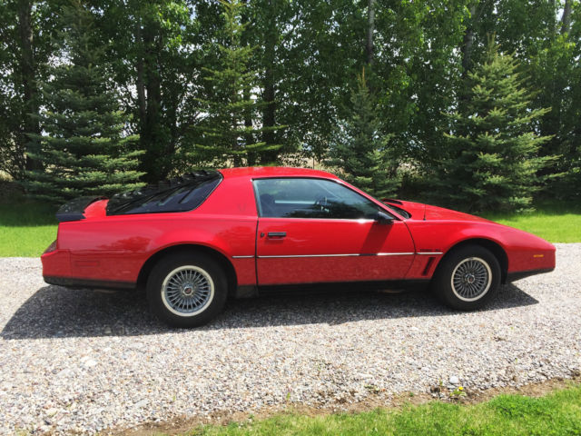 1982 Pontiac Trans Am - photo 3