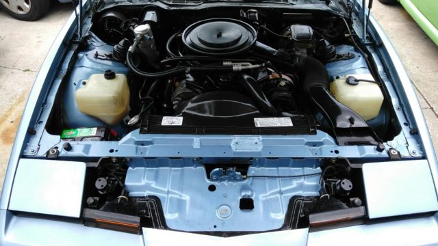 1982 Pontiac Trans Am - photo 10