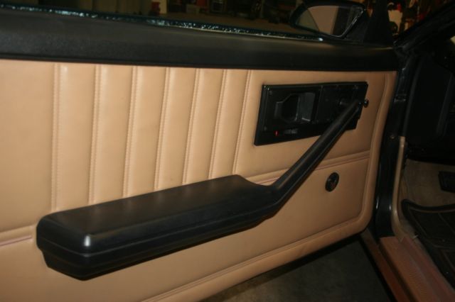 1982 Pontiac Trans Am - photo 13