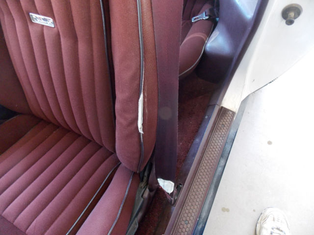 1982 Pontiac Trans Am - photo 13