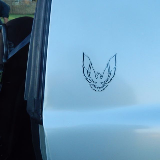 1982 Pontiac Trans Am - photo 7