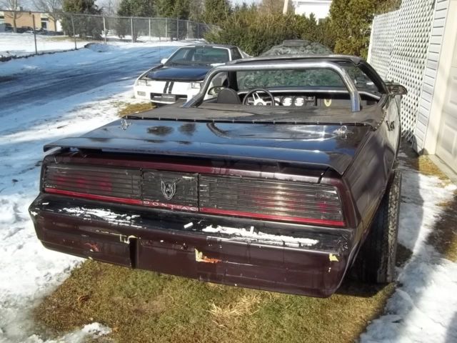 1982 Pontiac Trans Am - photo 4