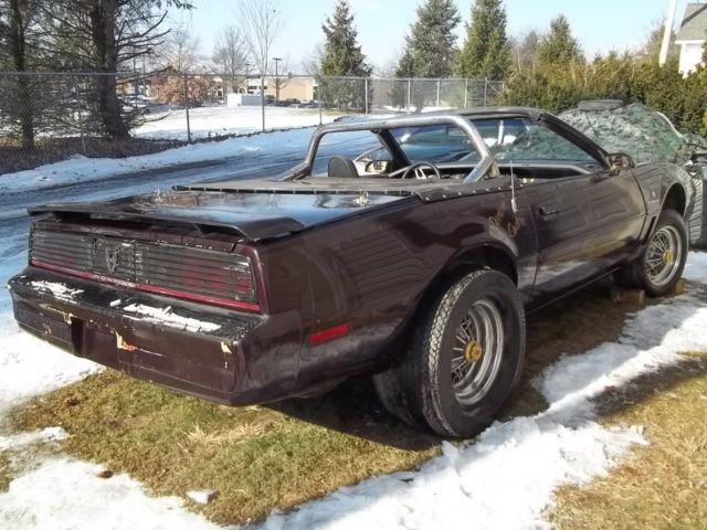1982 Pontiac Trans Am - photo 5