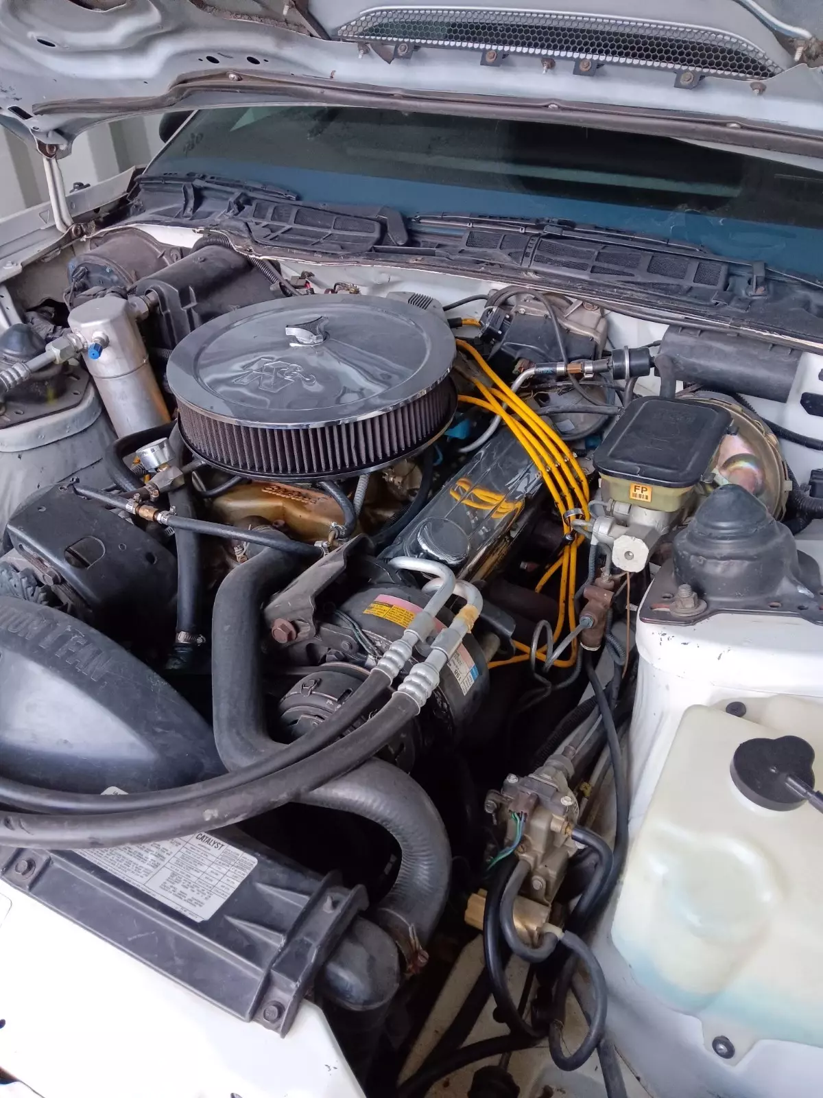 1982 Pontiac Trans Am - photo 10